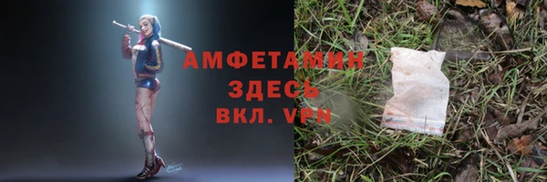 крисы Баксан