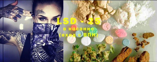 крисы Баксан