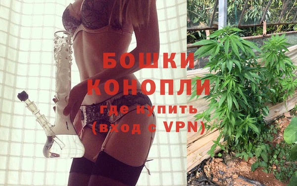 крисы Баксан