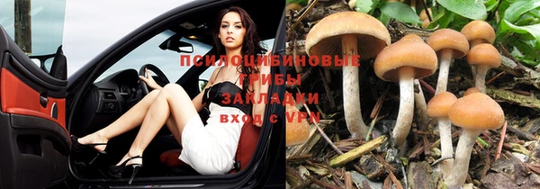 Альфа ПВП Арсеньев
