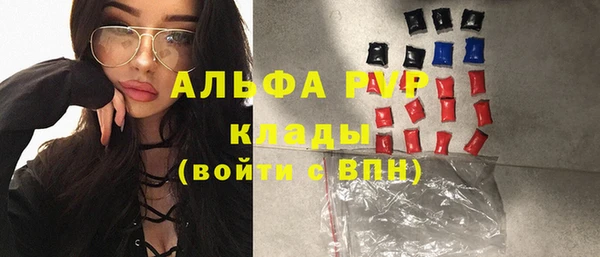крисы Баксан