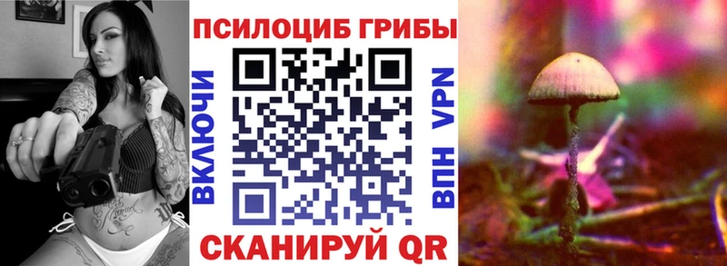 Галлюциногенные грибы Psilocybe  Белогорск 